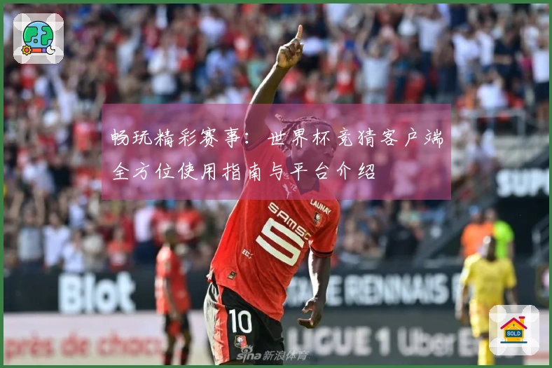 畅玩精彩赛事：世界杯竞猜客户端全方位使用指南与平台介绍