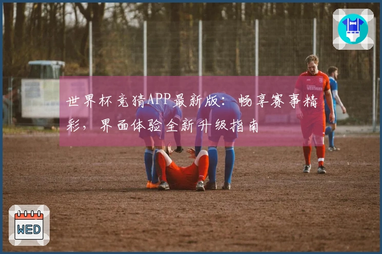 世界杯竞猜APP最新版：畅享赛事精彩，界面体验全新升级指南