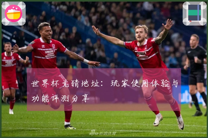 世界杯竞猜地址：玩家使用体验与功能评测分享