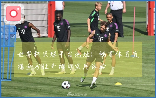 世界杯买球平台地址：畅享体育直播全方位介绍与实用体验