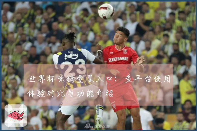 世界杯竞猜登录入口：多平台使用体验对比与功能介绍