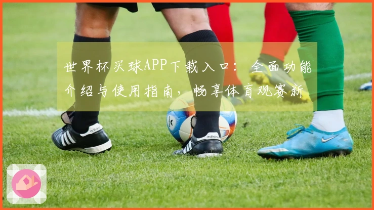 世界杯买球APP下载入口：全面功能介绍与使用指南，畅享体育观赛新体验