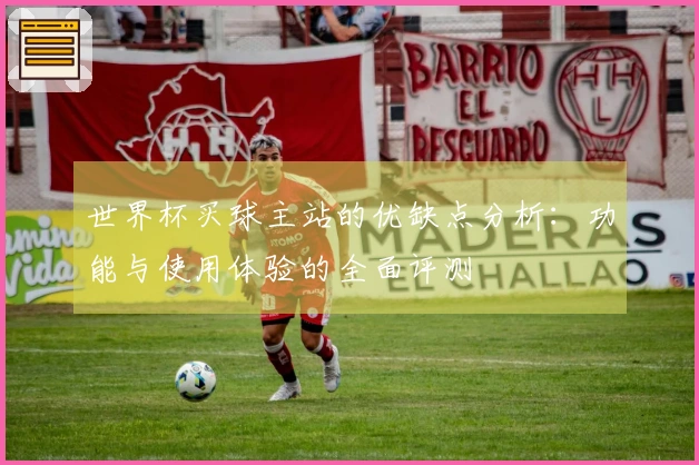 世界杯买球主站的优缺点分析：功能与使用体验的全面评测