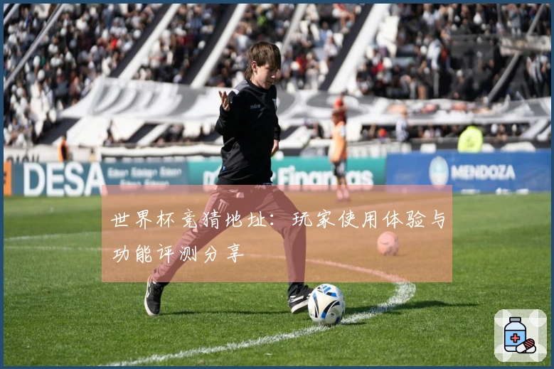 世界杯竞猜地址：玩家使用体验与功能评测分享