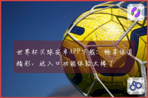 世界杯买球安卓APP下载：畅享体育精彩，这入口功能体验太棒了