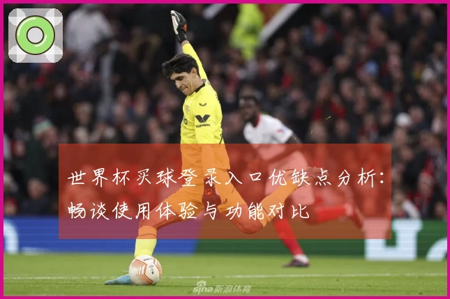 世界杯买球登录入口优缺点分析：畅谈使用体验与功能对比