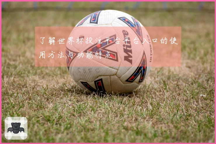 了解世界杯投注平台平台入口的使用方法与功能特点