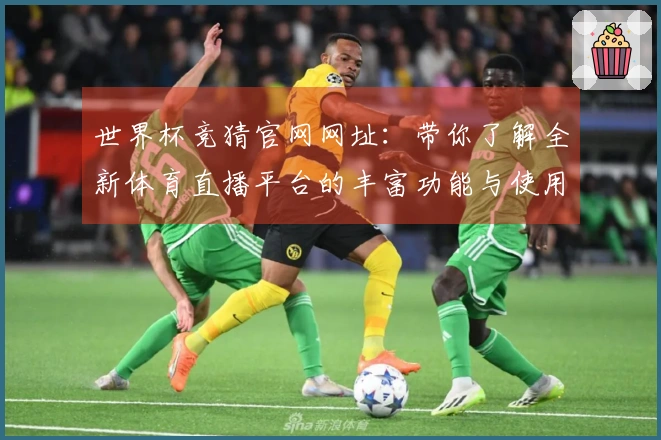 世界杯竞猜官网网址：带你了解全新体育直播平台的丰富功能与使用体验