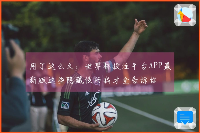 用了这么久，世界杯投注平台APP最新版这些隐藏技巧我才全告诉你