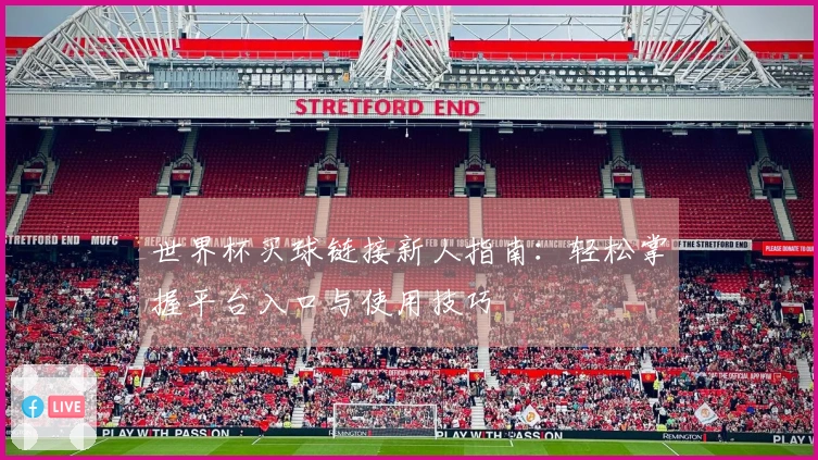 世界杯买球链接新人指南：轻松掌握平台入口与使用技巧