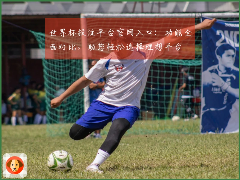 世界杯投注平台官网入口：功能全面对比，助您轻松选择理想平台