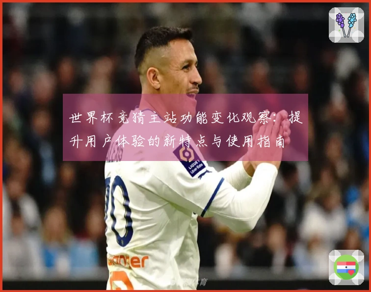 世界杯竞猜主站功能变化观察：提升用户体验的新特点与使用指南