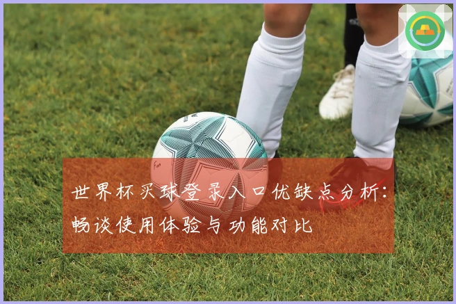 世界杯买球登录入口优缺点分析：畅谈使用体验与功能对比