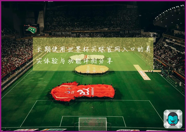 长期使用世界杯买球官网入口的真实体验与功能评测分享