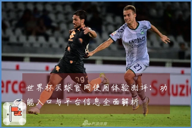 世界杯买球官网使用体验测评：功能入口与平台信息全面解析