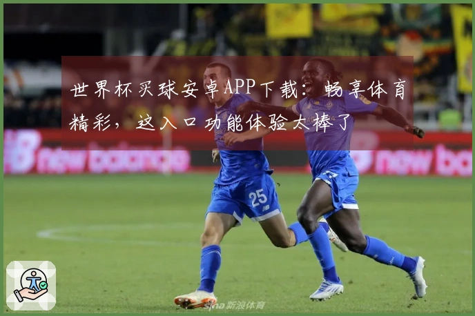 世界杯买球安卓APP下载：畅享体育精彩，这入口功能体验太棒了