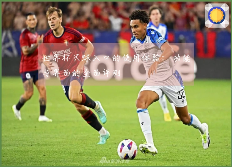世界杯买球入口的使用体验：功能与界面的全面评测